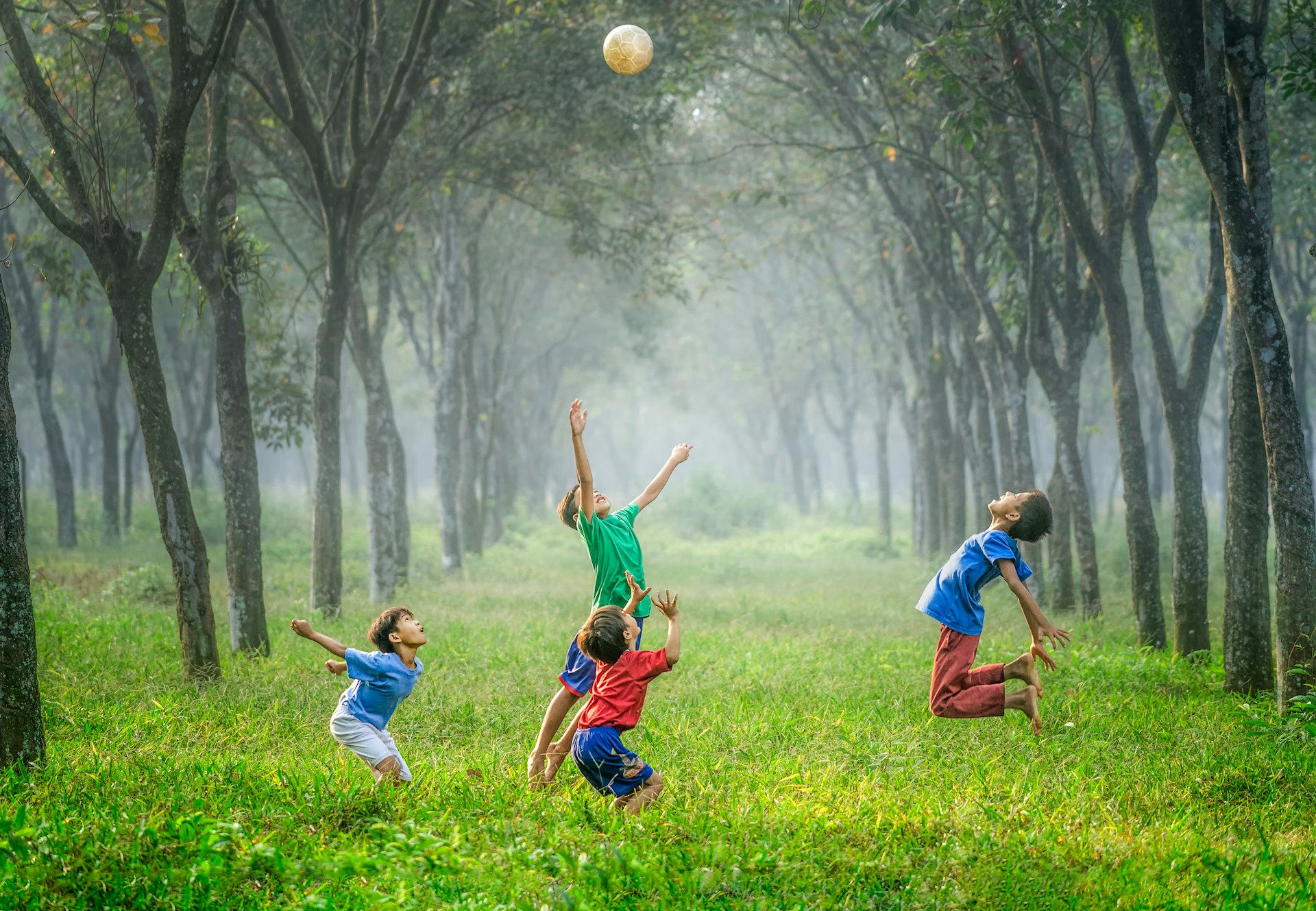 Children playing together outdoors in a green field